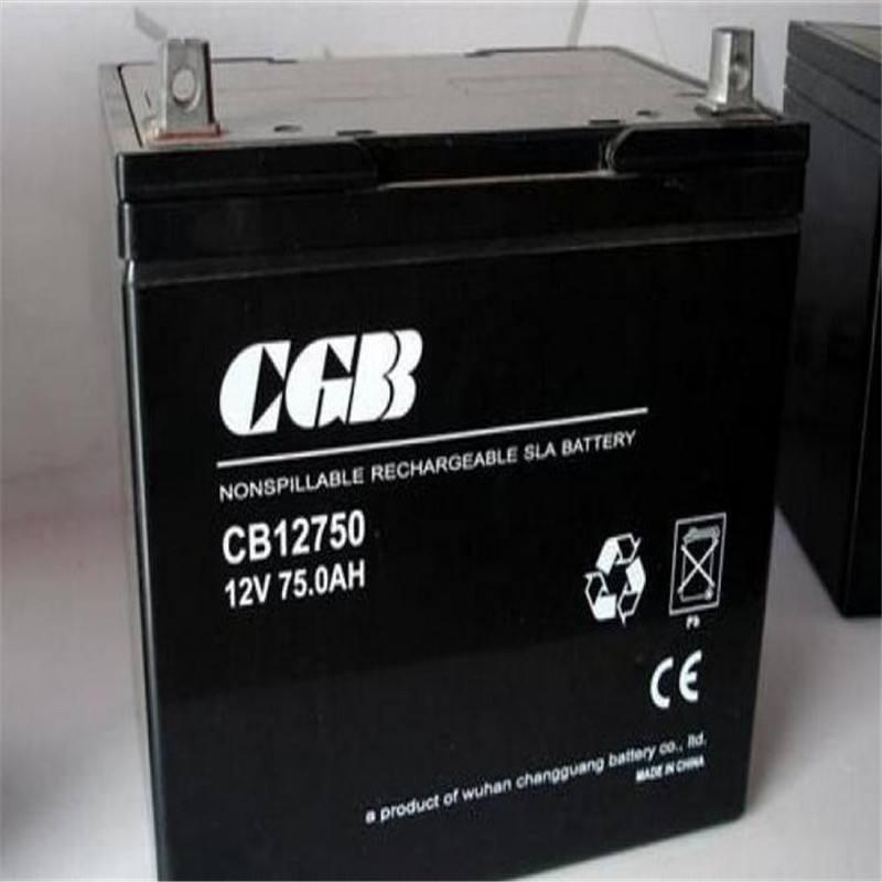 CGB蓄電池在線充放電方式特點