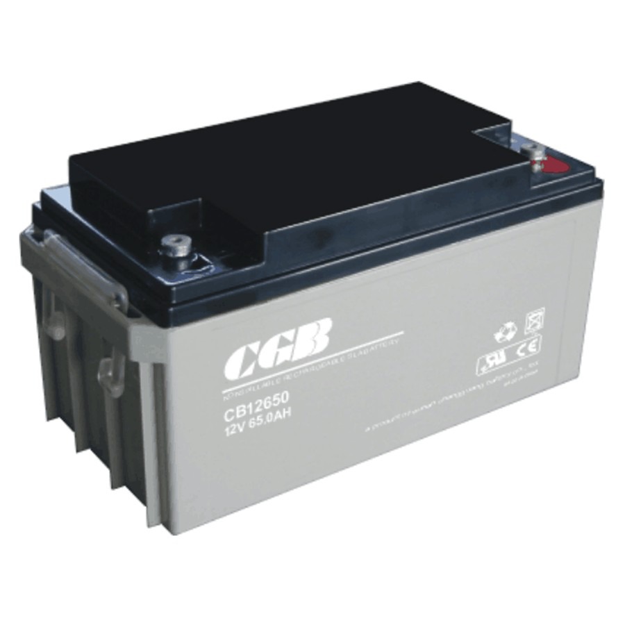 CGB蓄電池維護(hù)手冊(cè)